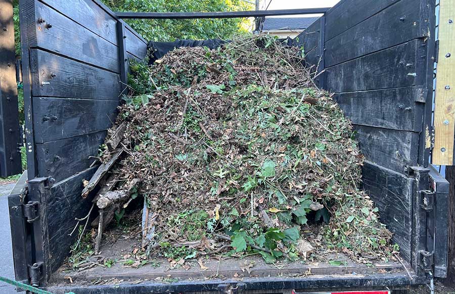 dervis-removal-services-in-NJ Dervis-removal-services in NJ